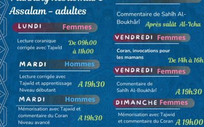 Programme cours adultes 2023-2024